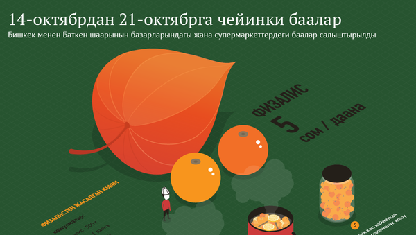 14-октябрдан 21-октябрга чейинки баалар - Sputnik Кыргызстан