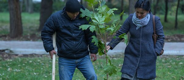 Былтыр Моксва шаарында өрттөн каза болгон кыз-келиндердин жаркын элесине арналып, Бишкек шаарында көчөттөрдү тигүү. Архив - Sputnik Кыргызстан