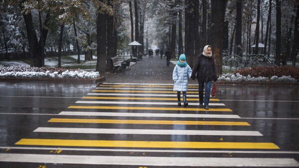 Женщина с ребенком переходят дорогу на бульваре Эркиндик в Бишкеке. Архивное фото - Sputnik Кыргызстан