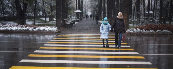 Архинвое фото женщина с ребенком, которые переходит дорогу - Sputnik Кыргызстан