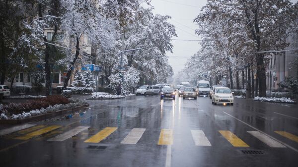 Автомобили на улице Киевской в Бишкеке. Архивное фото - Sputnik Кыргызстан