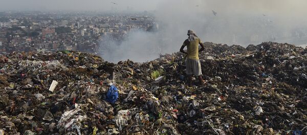 Мужчина на мусорной свалке в Нью-Дели, Индия - Sputnik Кыргызстан