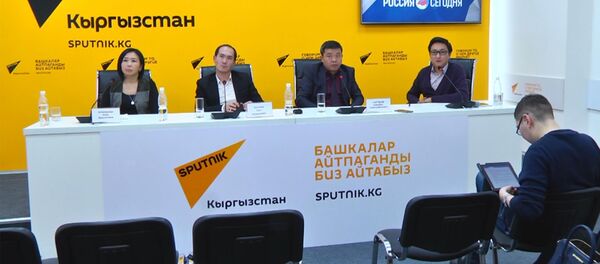 Преференции и права: эксперты обсудили положение мигрантов из КР в ЕАЭС - Sputnik Кыргызстан