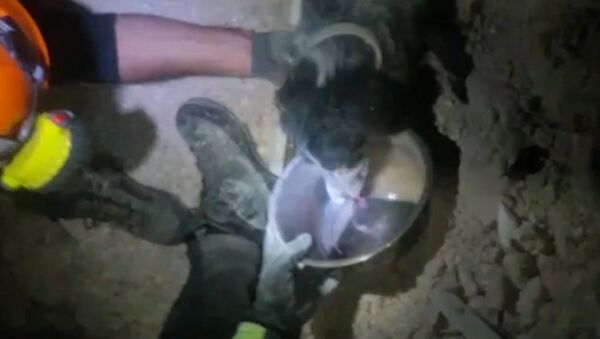Пожарные поили водой спасенную из-под завалов собаку в городе Норча в Италии - Sputnik Кыргызстан