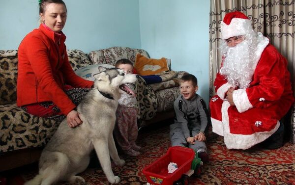 В селе Военно-Антоновка похитили собаку-друга из вольера во дворе дома - Sputnik Кыргызстан