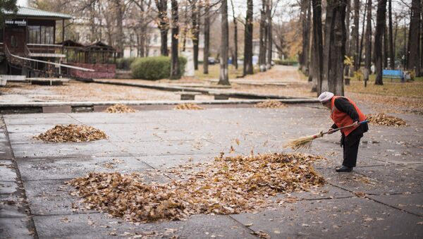 Сотрудница муниципального предприятия Тазалык во время уборки листьев. Архивное фото - Sputnik Кыргызстан