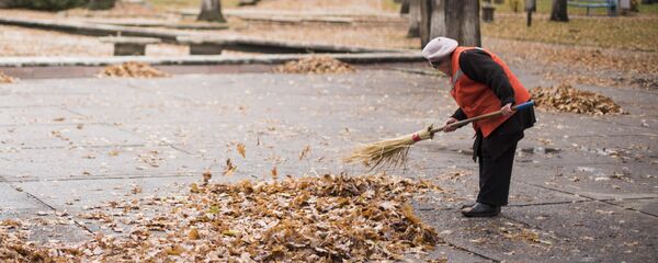 Көчөнү шыпырып жаткан аял. Архив - Sputnik Кыргызстан