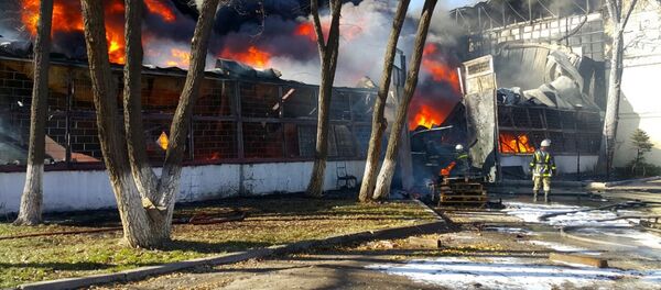 Сотрудники МЧС на месте пожара на западе Бишкека Сотрудники МЧС на месте пожара на западе Бишкека - Sputnik Кыргызстан