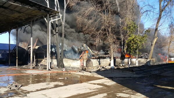 Пожар на западе Бишкека - Sputnik Кыргызстан