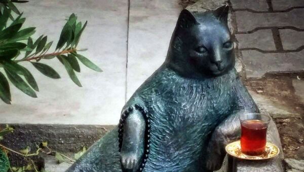 Памятник коту по кличке Томбили в Стамбуле - Sputnik Кыргызстан