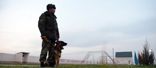 Архивное фото сотрудника пограничной службы с служебной собакой в пограничной заставе - Sputnik Кыргызстан