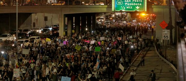 Лос-Анжелестеги нааразычылык акциясынын катышуучулары - Sputnik Кыргызстан