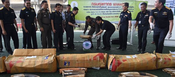 Уничтожение бивней слонов и рогов носорогов в Бангкоке Уничтожение бивней слонов и рогов носорогов в Бангкоке - Sputnik Кыргызстан