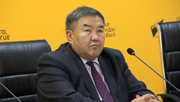 Архивное фото члена Национального делового клуба, доктора экономических наук Жумакадыра Акенеева - Sputnik Кыргызстан