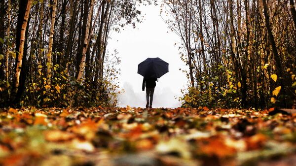 Мужчина с зонтом идет по осеннему парку. Архивное фото - Sputnik Кыргызстан