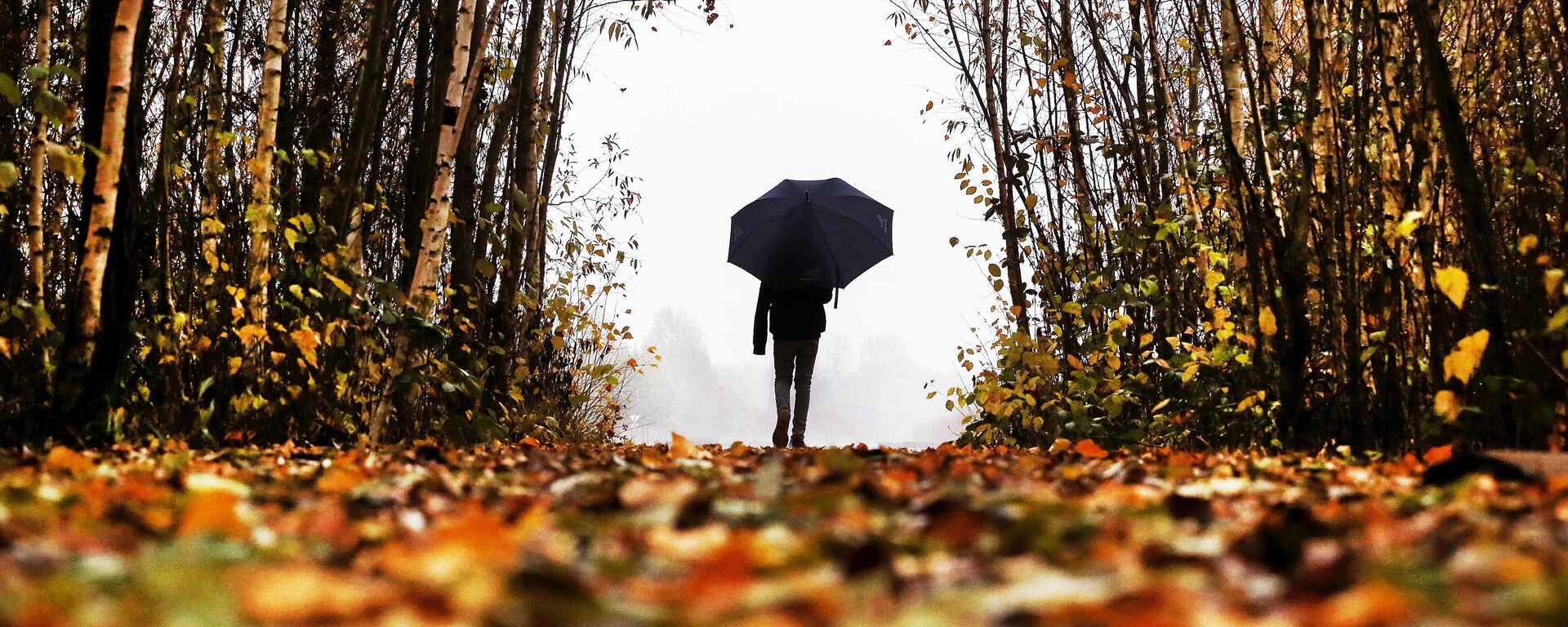 Мужчина с зонтом идет по парку. Архивное фото - Sputnik Кыргызстан, 1920, 10.09.2025