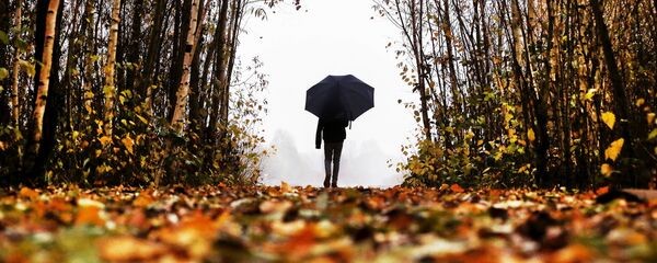 Мужчина с зонтом идет по осеннему парку - Sputnik Кыргызстан