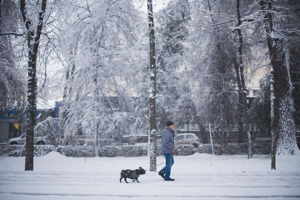 Снегопад в Бишкеке - Sputnik Кыргызстан