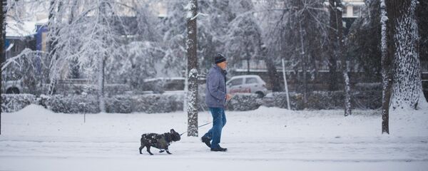 Снегопад в городе Бишкек Снегопад в городе Бишкек - Sputnik Кыргызстан