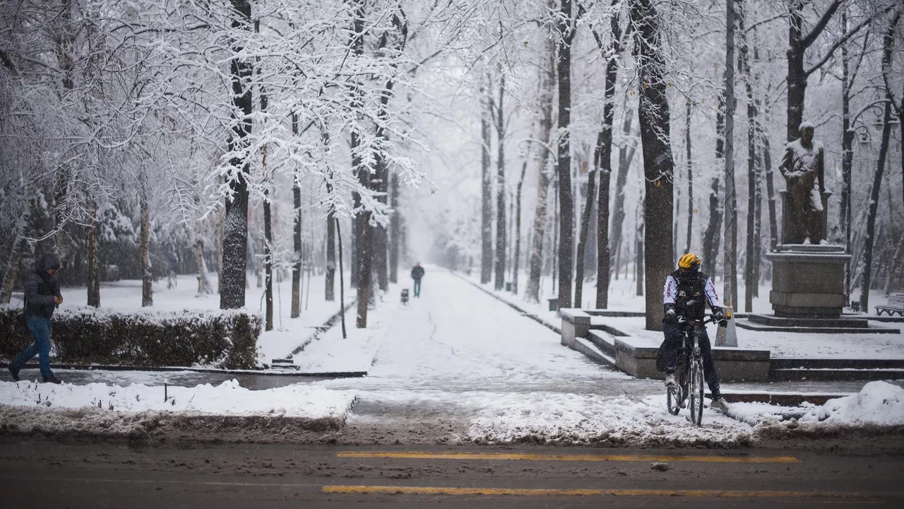 Температурный режим 2 8. Температурный режим холодильника для хранения лекарственных средств. Температурный режим хранения лекарственных препаратов. Температурные режимы хранения медикаментов. Температурные режимы хранения лекарственных.