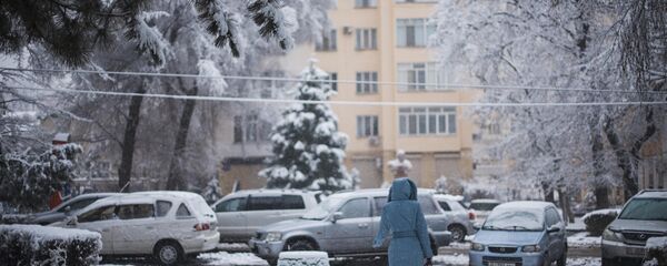 Снегопад в городе Бишкек - Sputnik Кыргызстан