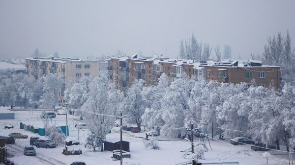 Вид на город Каракол. Архивное фото - Sputnik Кыргызстан