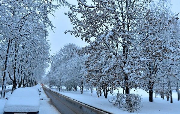 Сильный снегопад в Минске - Sputnik Кыргызстан