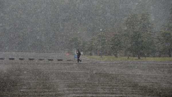 Мужчина идет по улице во время снегопада в Токио - Sputnik Кыргызстан