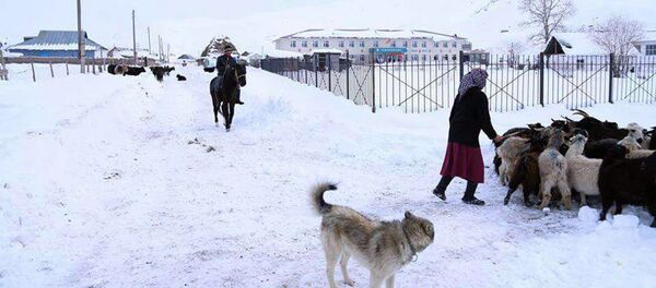 Обильные осадки в Кара-Кульжинском районе Ошской области - Sputnik Кыргызстан