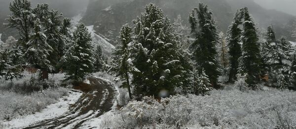 Осень в Горном Алтае - Sputnik Кыргызстан