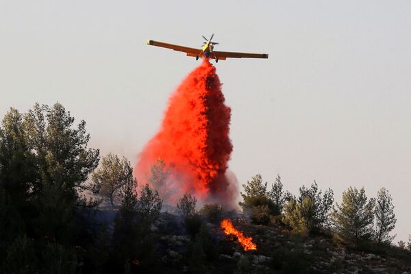 Сильные лесные пожары в Израиле - Sputnik Кыргызстан