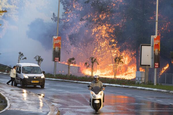 Сильные лесные пожары в Израиле - Sputnik Кыргызстан