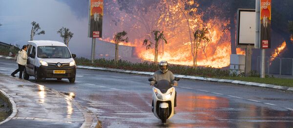 Последствия сильных лесных пожаров в Израиле - Sputnik Кыргызстан