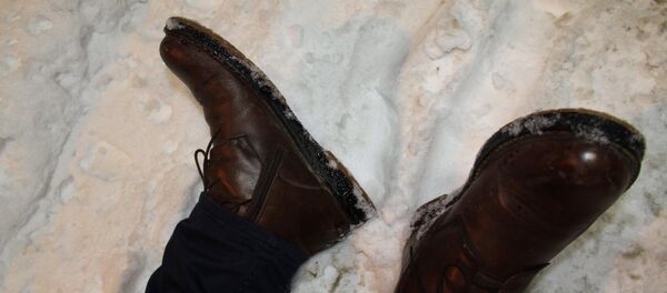 Убийство в Бишкеке - Sputnik Кыргызстан