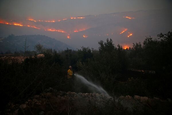 Мощные лесные пожары в нескольких районах Израиля - Sputnik Кыргызстан