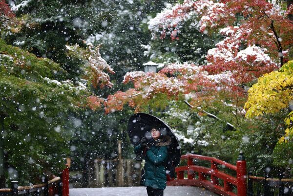Ноябрьский снег в Японии - Sputnik Кыргызстан
