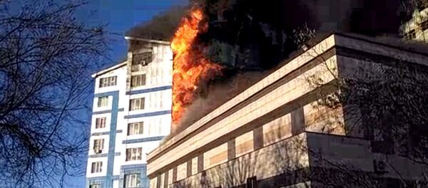 Өрт жана окуучулар: Бишкектеги жеке мектепте өрт чыкты - Sputnik Кыргызстан