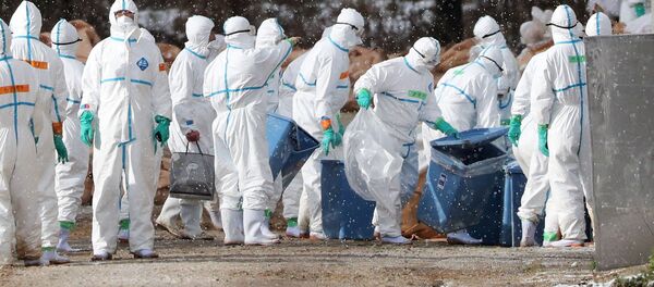 Распространение птичьего гриппа Распространение птичьего гриппа - Sputnik Кыргызстан