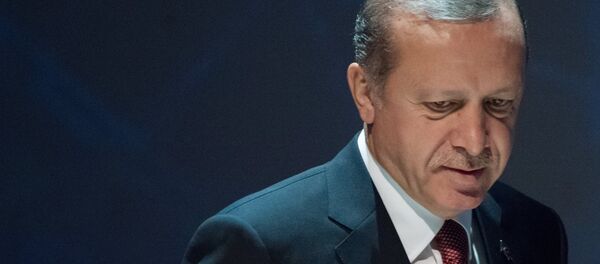 Визит президента РФ В. Путина в Турцию - Sputnik Кыргызстан