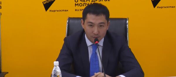 Как лучше представить Кыргызстан миру, рассказали представители бизнеса - Sputnik Кыргызстан