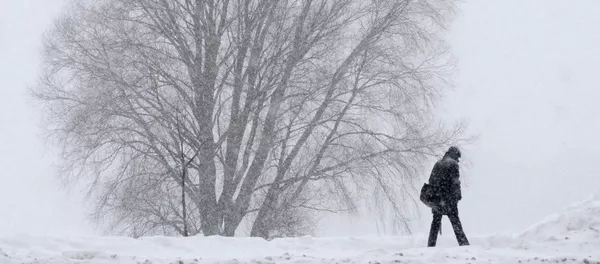 Мужчина идет по заснеженной дороге. Архивное фото Мужчина идет по заснеженной дороге. Архивное фото - Sputnik Кыргызстан