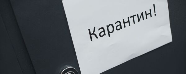 Распространение вируса ОРВИ в Кыргызстане Распространение вируса ОРВИ в Кыргызстане - Sputnik Кыргызстан