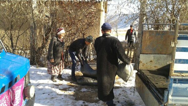 Баткен районуна караштуу Кара-Булак айылынын колунда жок үй-бүлөлөрүнө жардам берүү - Sputnik Кыргызстан