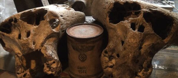 Загадка Третьего Рейха: в горах Адыгеи найдены загадочные черепа - Sputnik Кыргызстан