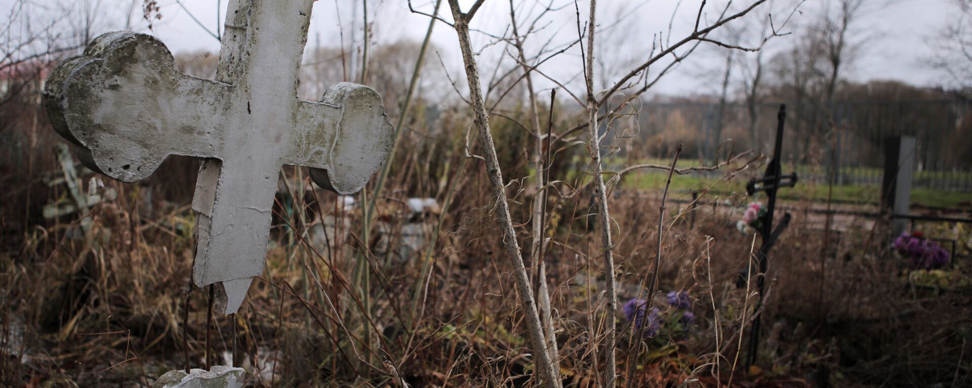 Көрүстөн. Архив - Sputnik Кыргызстан, 1920, 04.08.2025