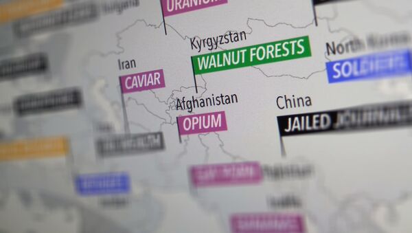 Снимок с официального сайта Information is Beautiful. Карта мира с указанием главных особенностей каждой страны - Sputnik Кыргызстан