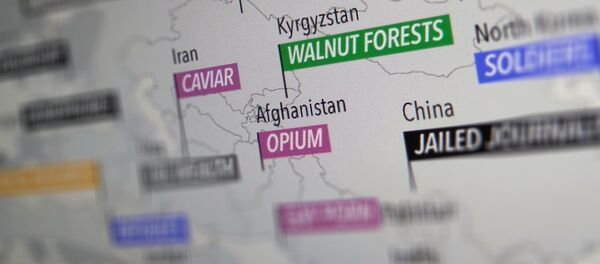 Снимок с официального сайта Information is Beautiful. Карта мира с указанием главных особенностей каждой страны - Sputnik Кыргызстан