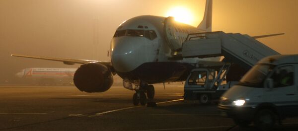 В аэропорту Домодедово - Sputnik Кыргызстан