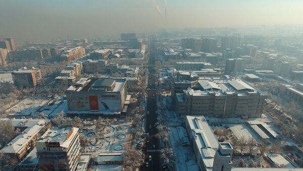 Вид с высоты города Бишкек. Архивное фото - Sputnik Кыргызстан