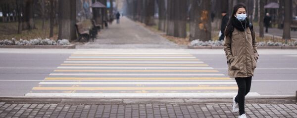 Сезонный рост заболеваемости гриппом и ОРВИ в Бишкеке - Sputnik Кыргызстан